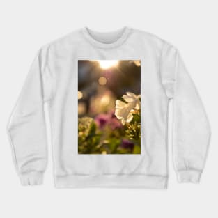 Golden hour Phlox Crewneck Sweatshirt